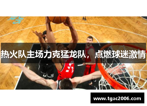 热火队主场力克猛龙队，点燃球迷激情